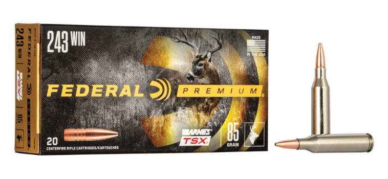FEDERAL Cartridges .243Win. BARNES TSX 5,5g - lead-free