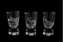 JAGERGLASS Vodka glasses set with carafe