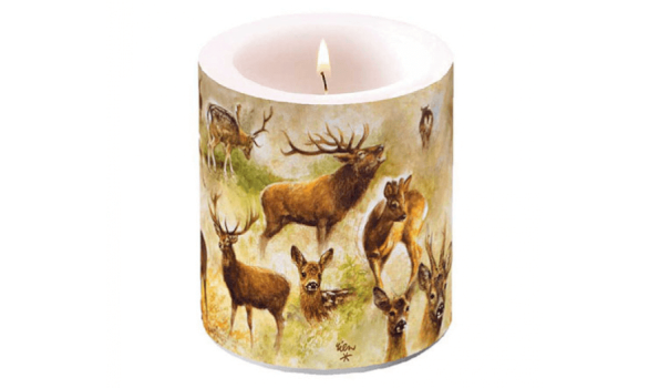 AMBIENTE Candle BRIEŽU KOLĀŽA