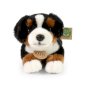 RAPPA Plush toy BERNESE, 30cm