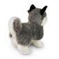 RAPPA Plush toy HUSKY, 23cm