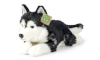 RAPPA Plush toy HUSKY, 36cm