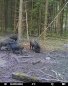 ICU Trail camera CLOM Cam-S