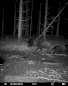 ICU Trail camera CLOM Cam-S