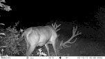 ICU Trail camera CLOM EasyCam