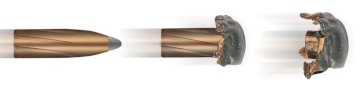 Patronas GECO .300Win.Mag. SP 11,0g