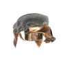 Patronas GECO .300Win.Mag. SP 11,0g