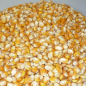 JAMAMITE Kaltēti kukurūzas graudi, 5kg