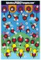 SPLATTER PRO TARGETS Paper target, 45x30 cm
