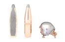 Hornady 7mm BTSP InterLock 10,5g/162gr